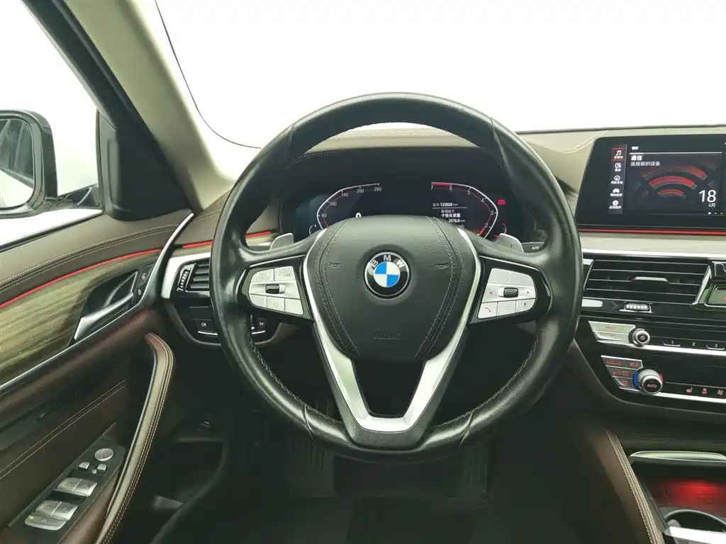 BMW 5 Series 2020 530Li Leading Luxury Package фото 11