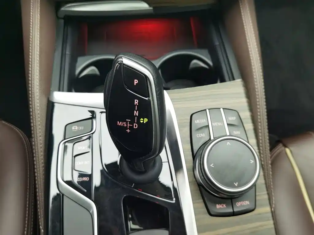 BMW 5 Series 2020 530Li Leading Luxury Package фото 13