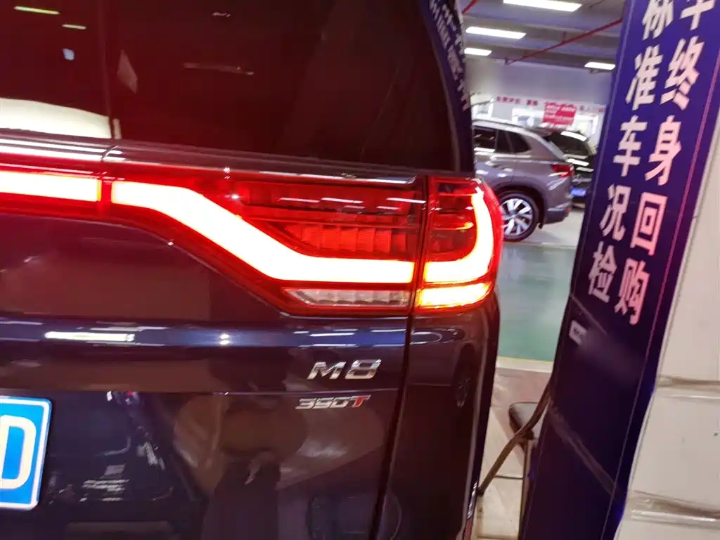GAC Trumpchi Trumpchi M8 2021 Leading Show Series 390T Ultimate Edition фото 8