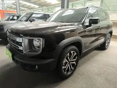 Haval Dargo