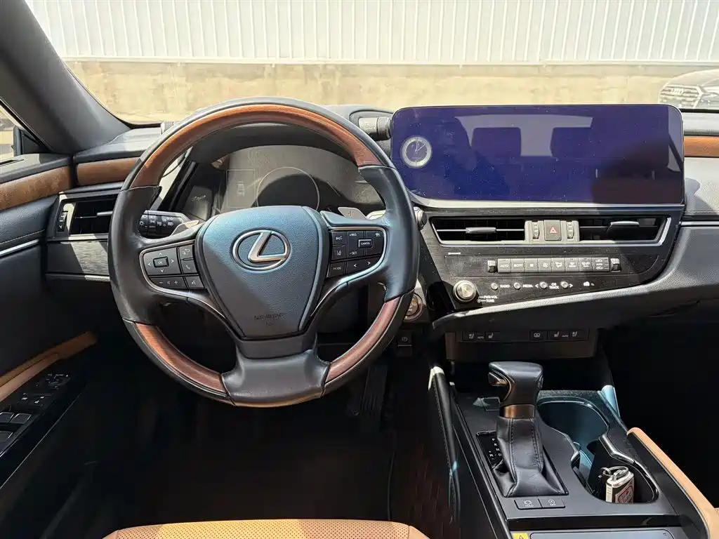 Lexus ES 2022 200 Luxury Edition фото 10