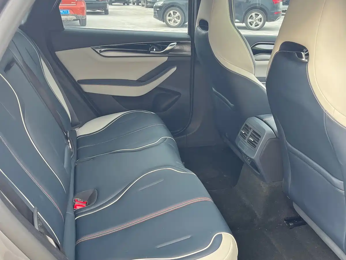 BYD Qin PLUS 2021 DM-i 55KM Premium фото 9