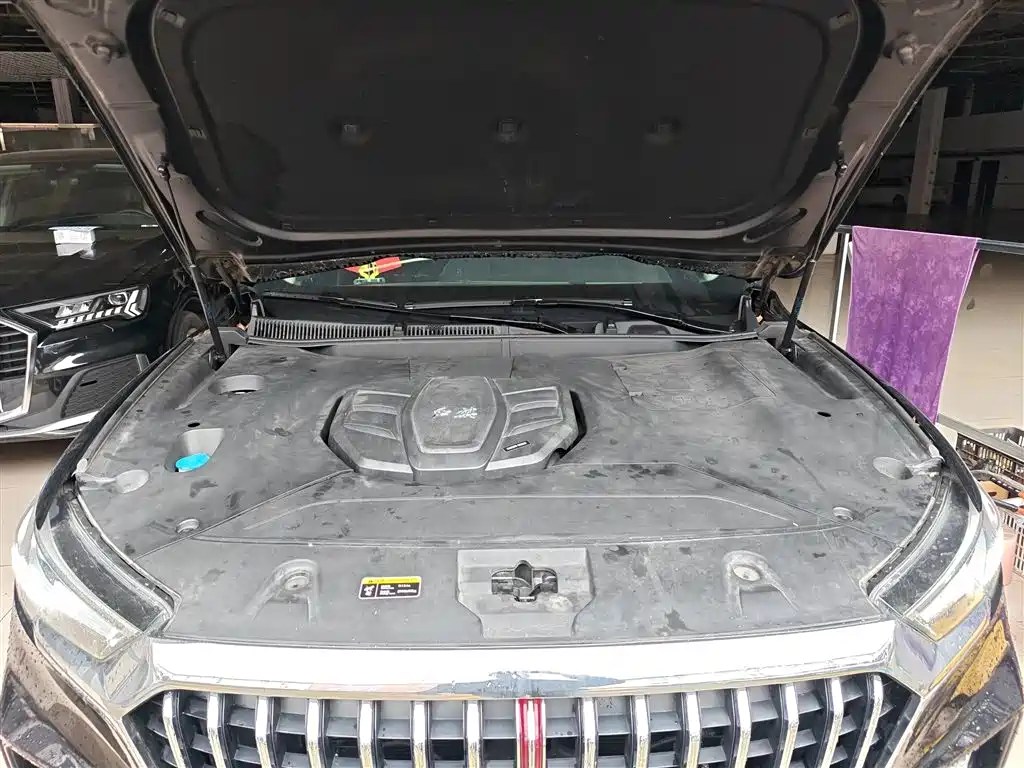 Hongqi HS5 2019 2.0T Smart Connect Enjoy Edition фото 20