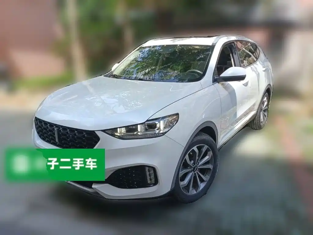 WEY VV6 2018 2018 2.0T 2WD Super Luxury China V