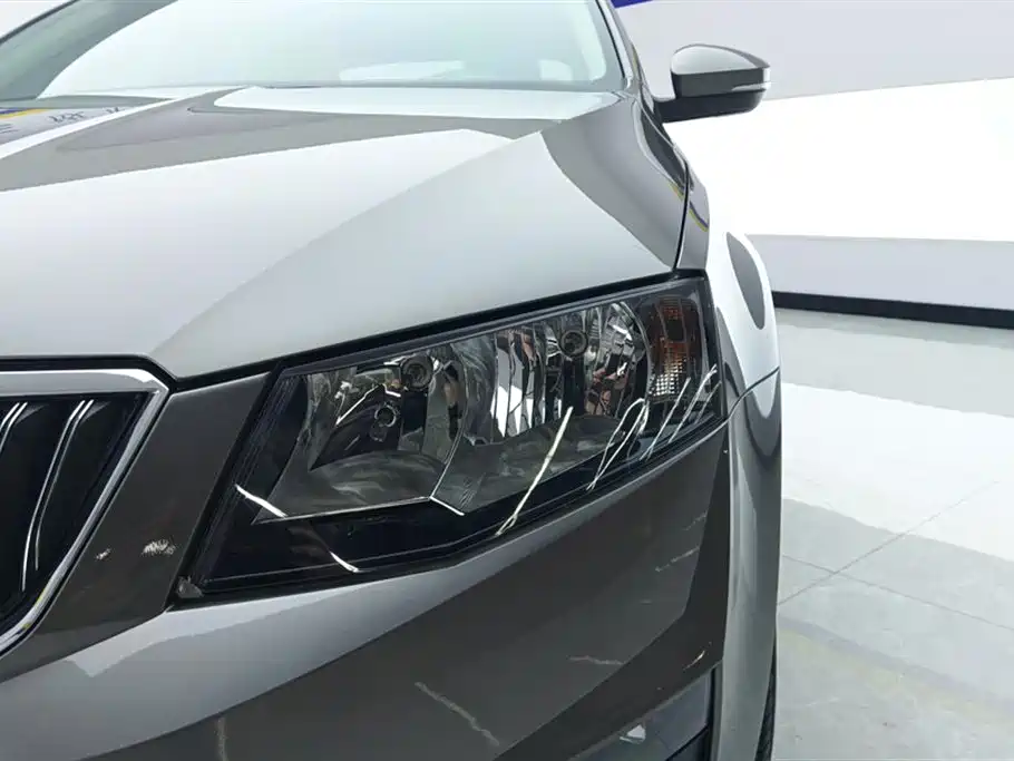 Škoda Octavia 2017 1.6L Automatic Pioneer Edition фото 5