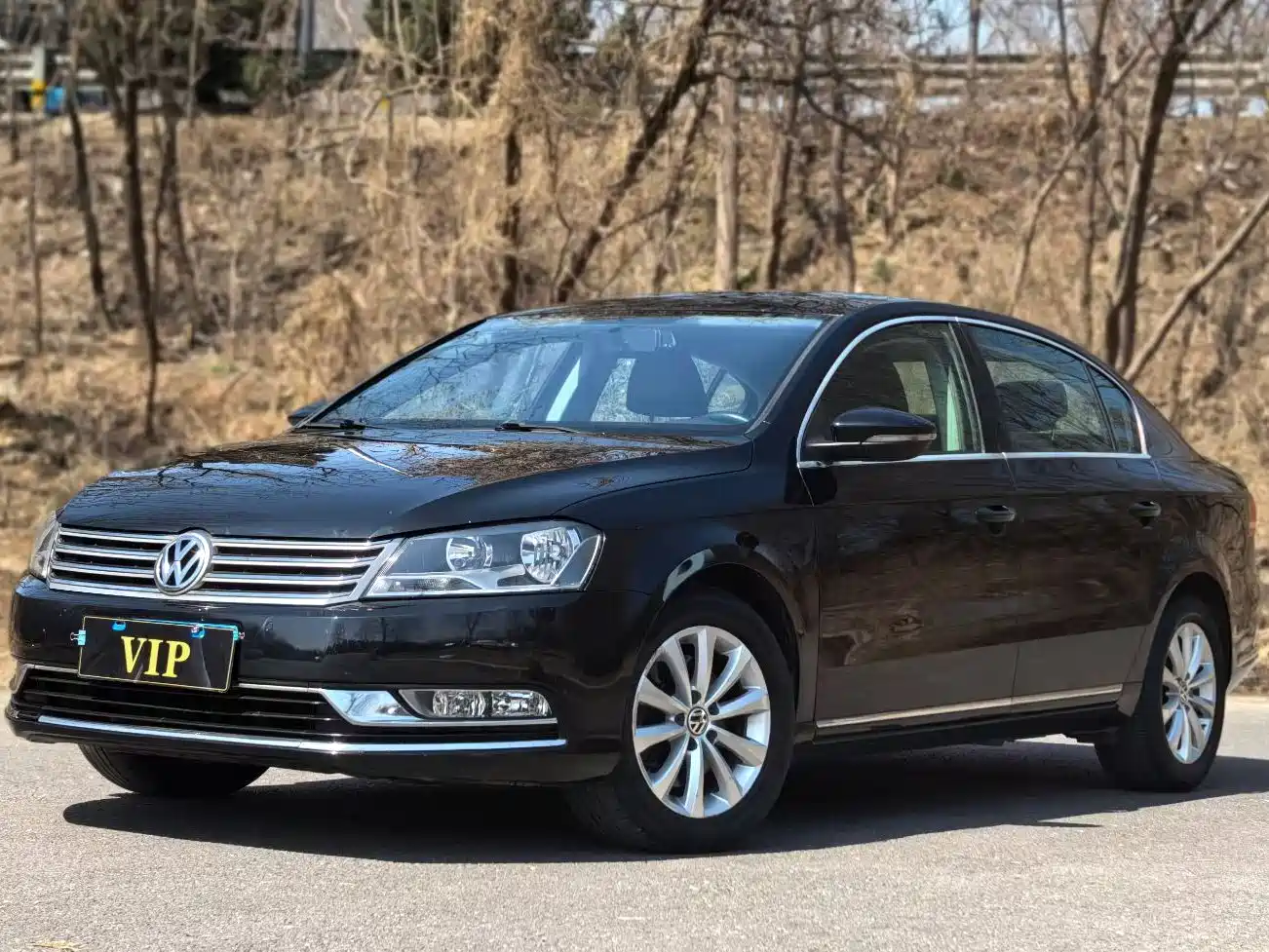 Volkswagen Magotan 2015 1.8TSI Leading