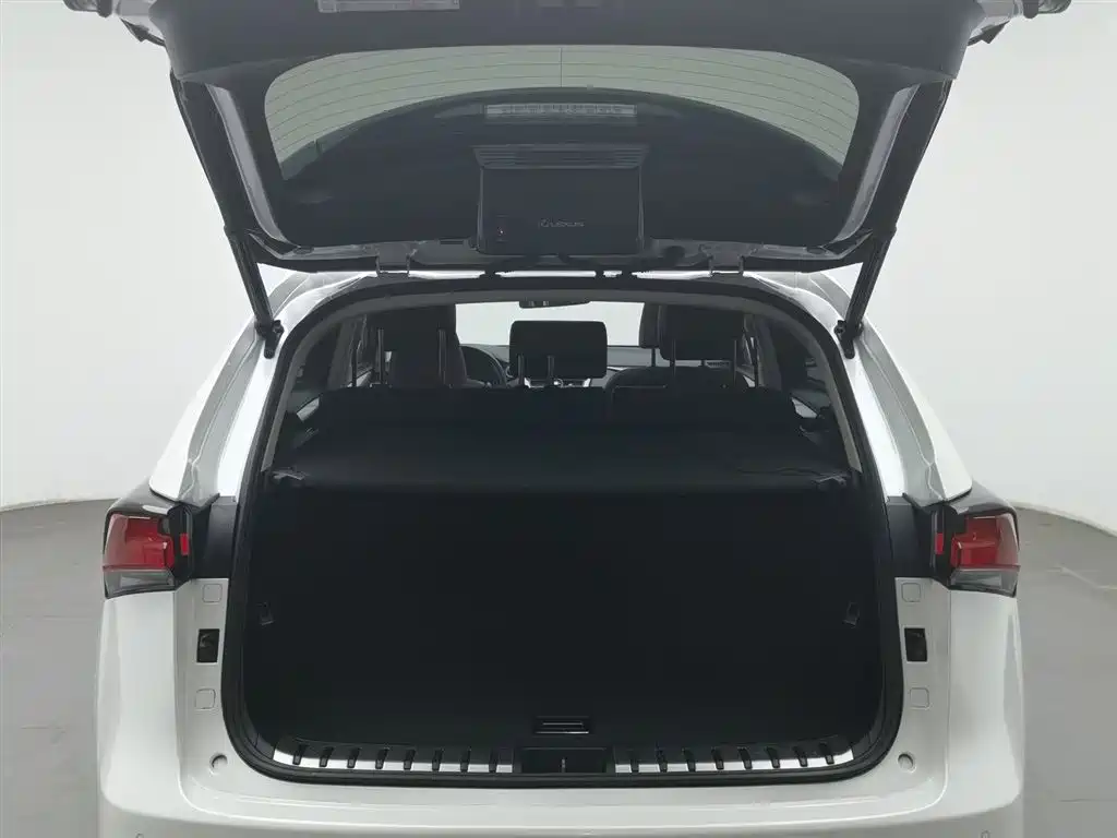 Lexus NX 2018 Model 300h FWD Fengshang Edition China V фото 16