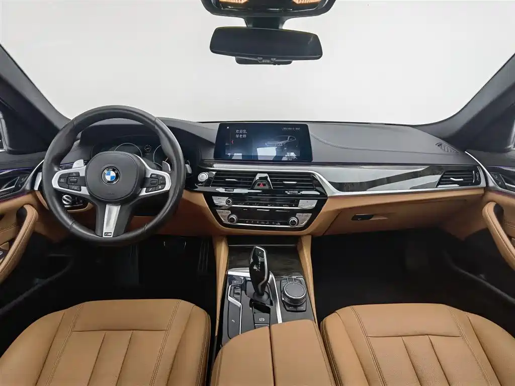 BMW 5 Series 2019 530Li Leading M Sport Package фото 5