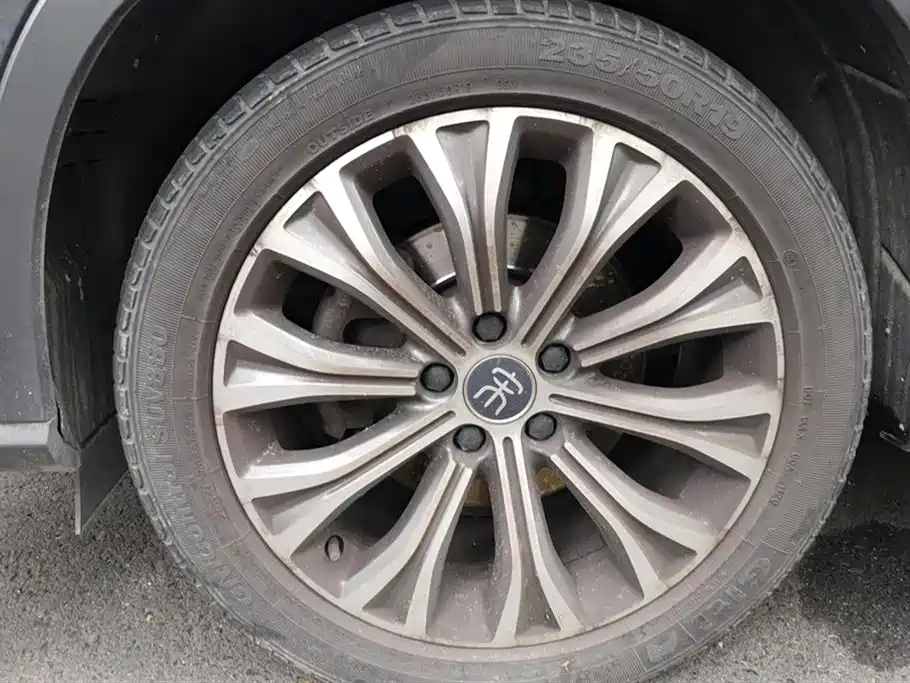 BYD SONGJIANG NEW ENERGY