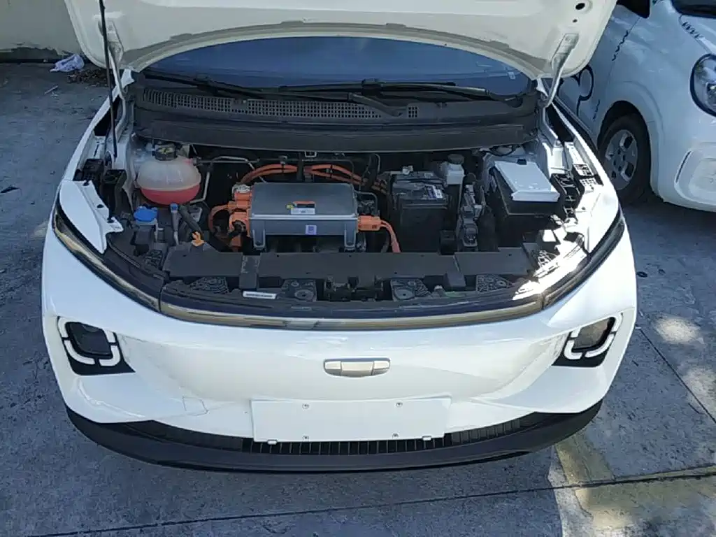 Geely Geometry E Firefly 2025 2024 Model 401km Fluorescent