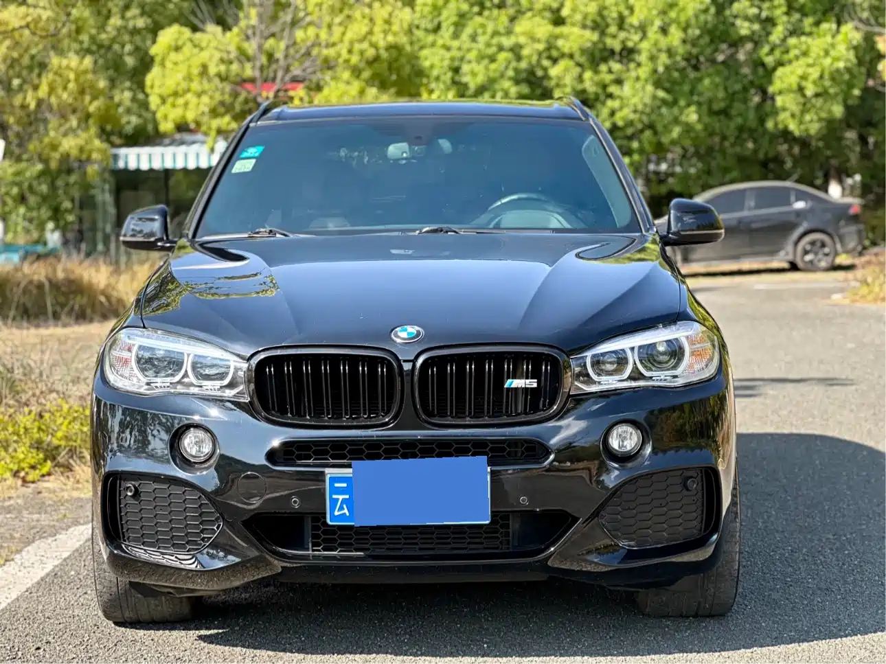 BMW X5 (Import) 2017 xDrive35i Leading Edition фото 2