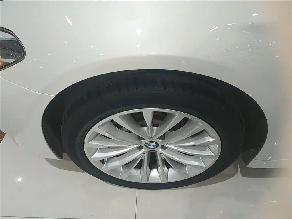 BMW 5 Series 2019 525Li Luxury Package фото 23