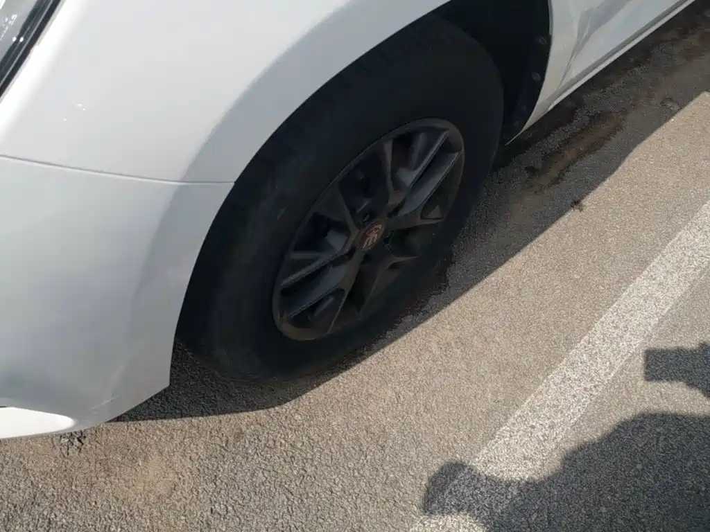 BYD Song 2018 2019 1.5TI Auto Smart Connection Dynamic Type