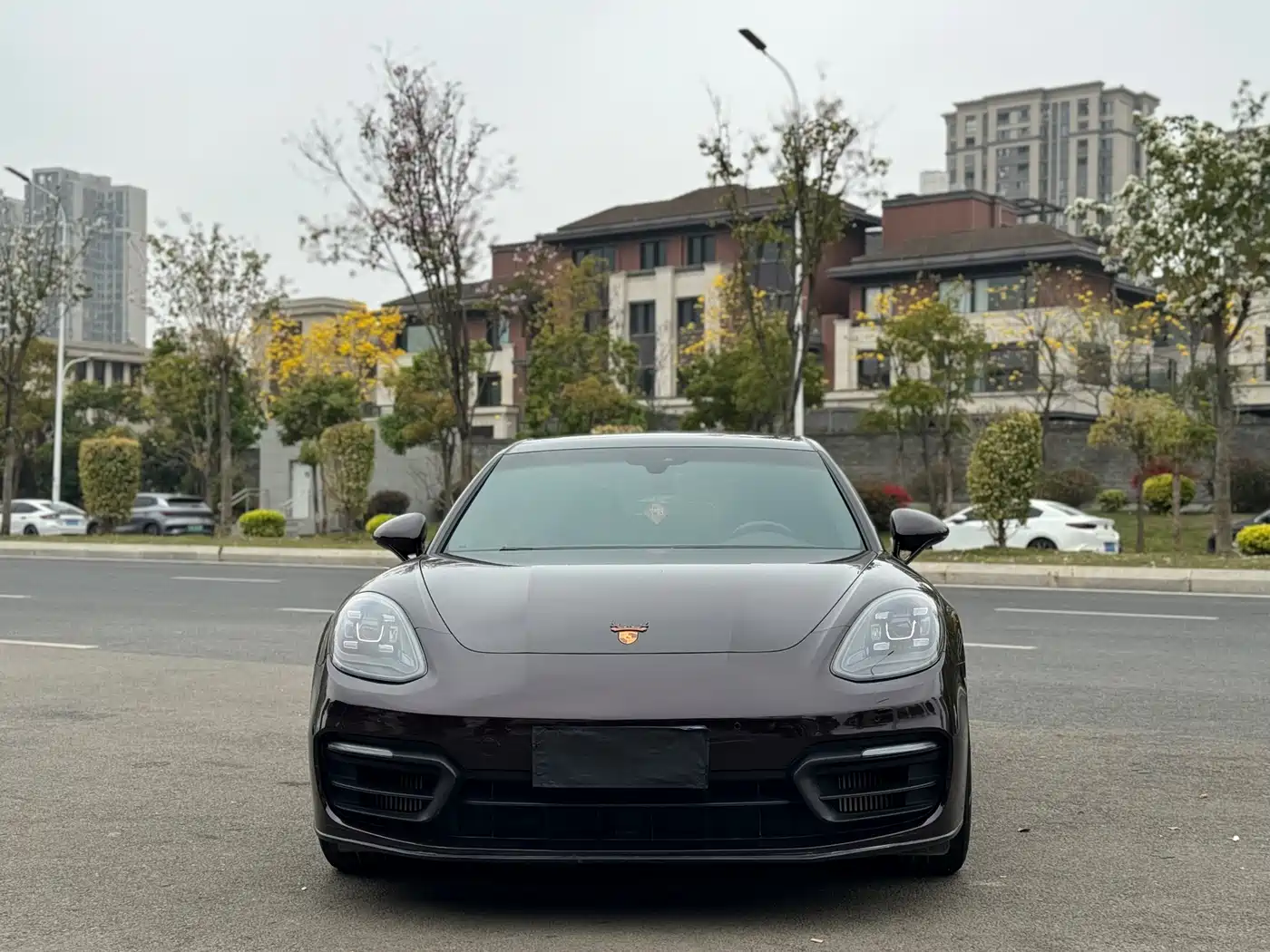 Porsche Panamera 2022 Panamera 2.9T фото 2