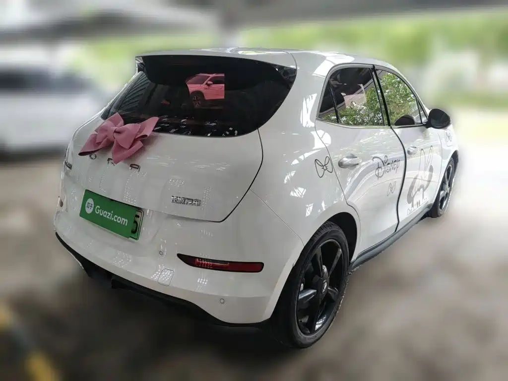 2025 Ora Good Cat