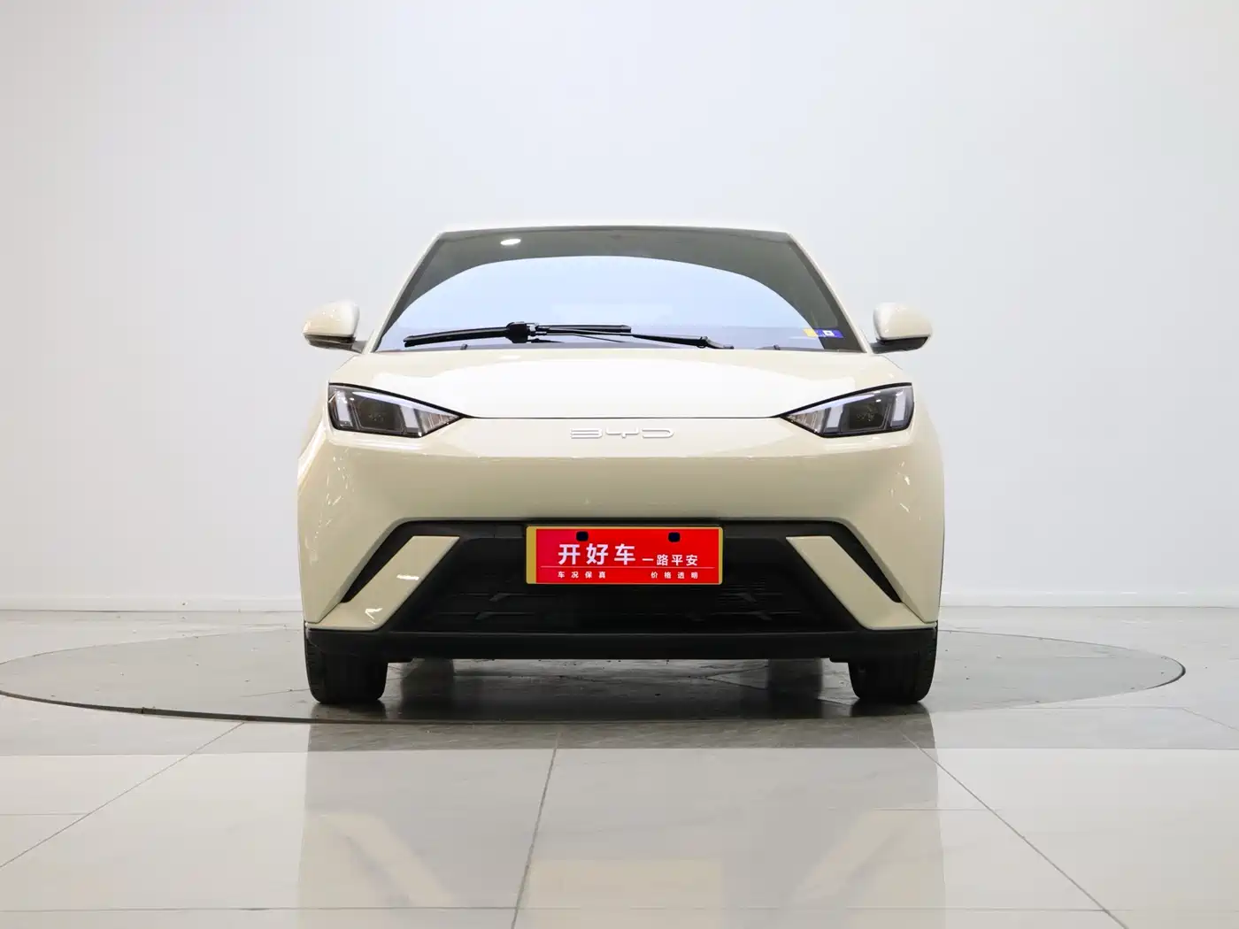 BYD Seagull 2023 Freedom Edition фото 2