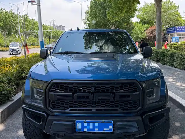 Ford F-150 Raptor 2019 3.5T Raptor Performance Enhanced Edition