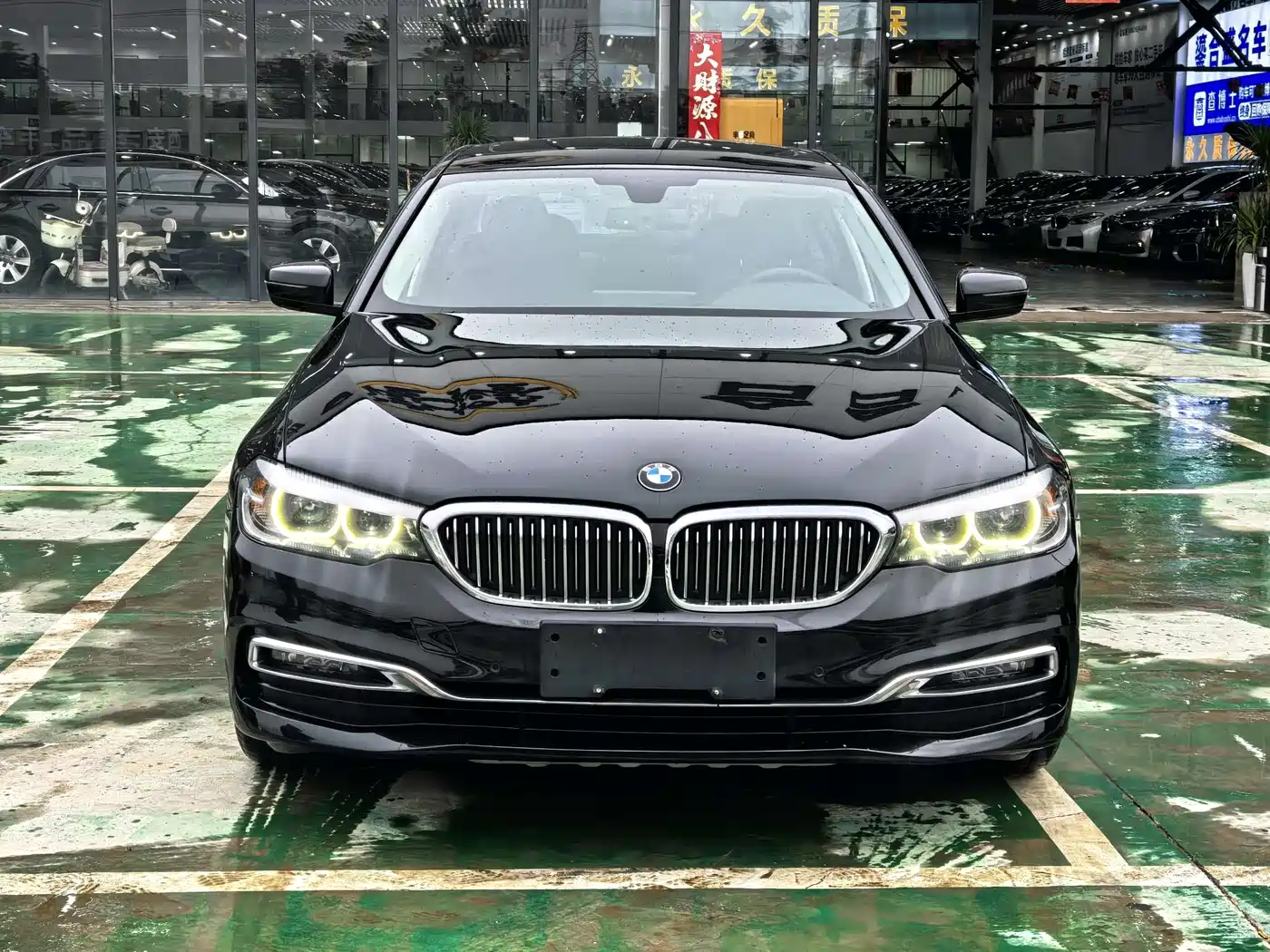 BMW 5 Series 2019 530Li Leading Luxury Package фото 2