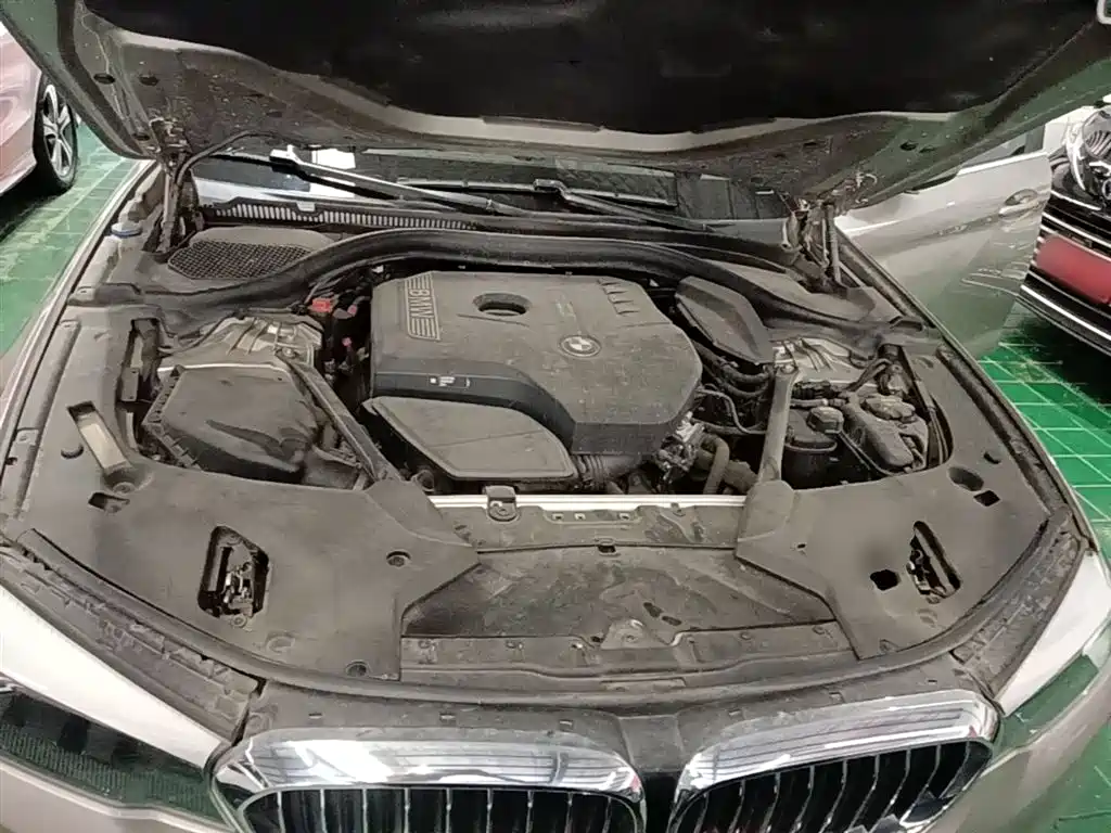 BMW 5 Series 2018 528Li Launch Special Edition фото 20