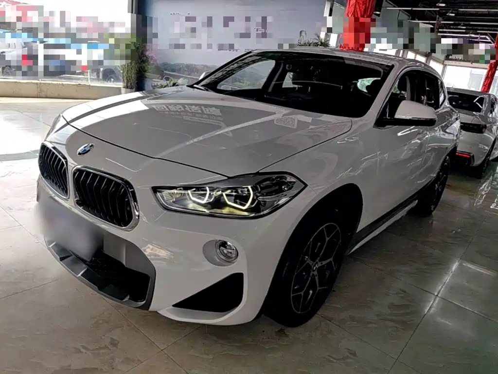 BMW X2 (Import) 2019 2019 sDrive20i M Off-Road Package China VI