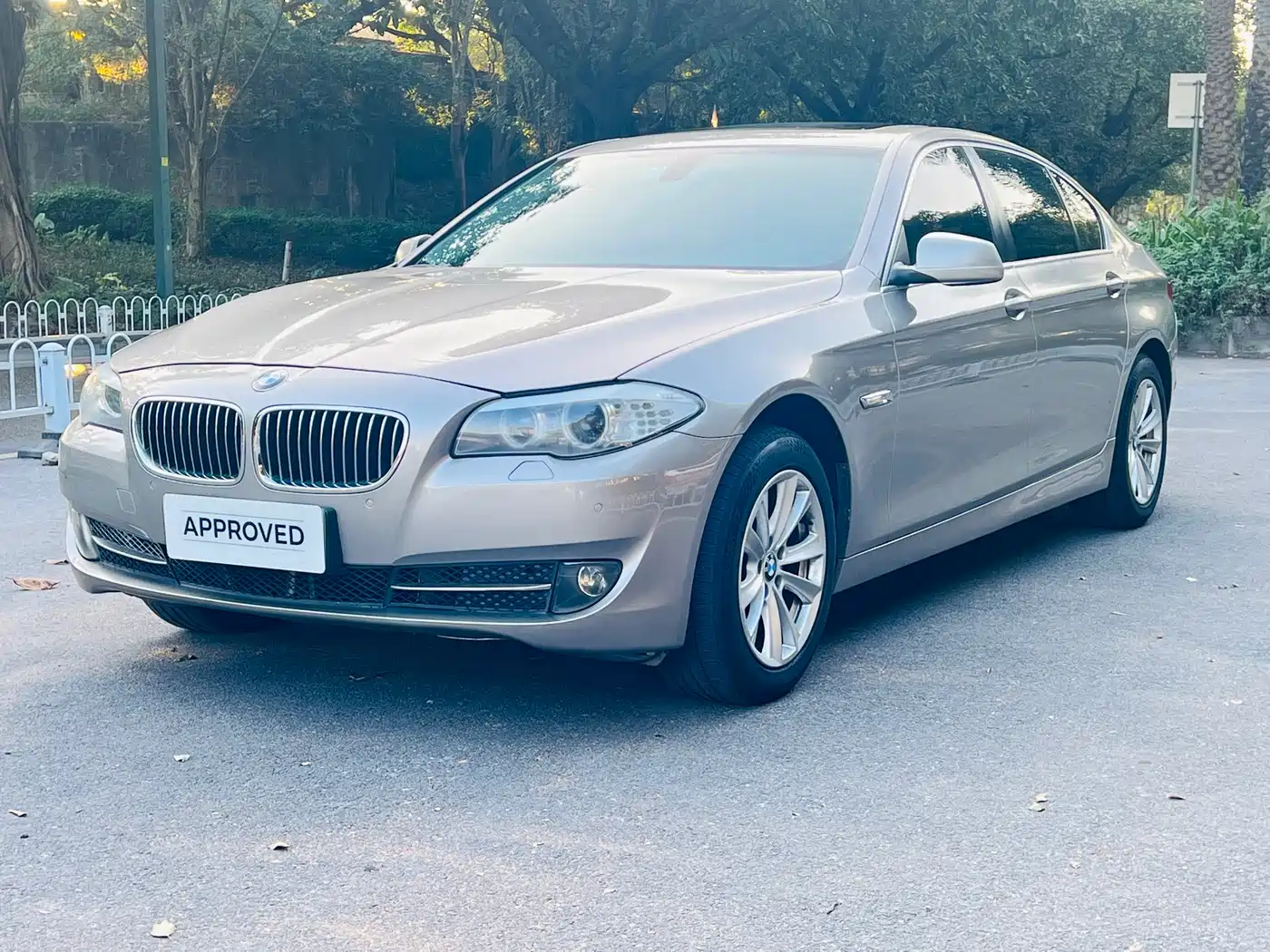 BMW 5 Series 2013 520Li Elegance фото 2