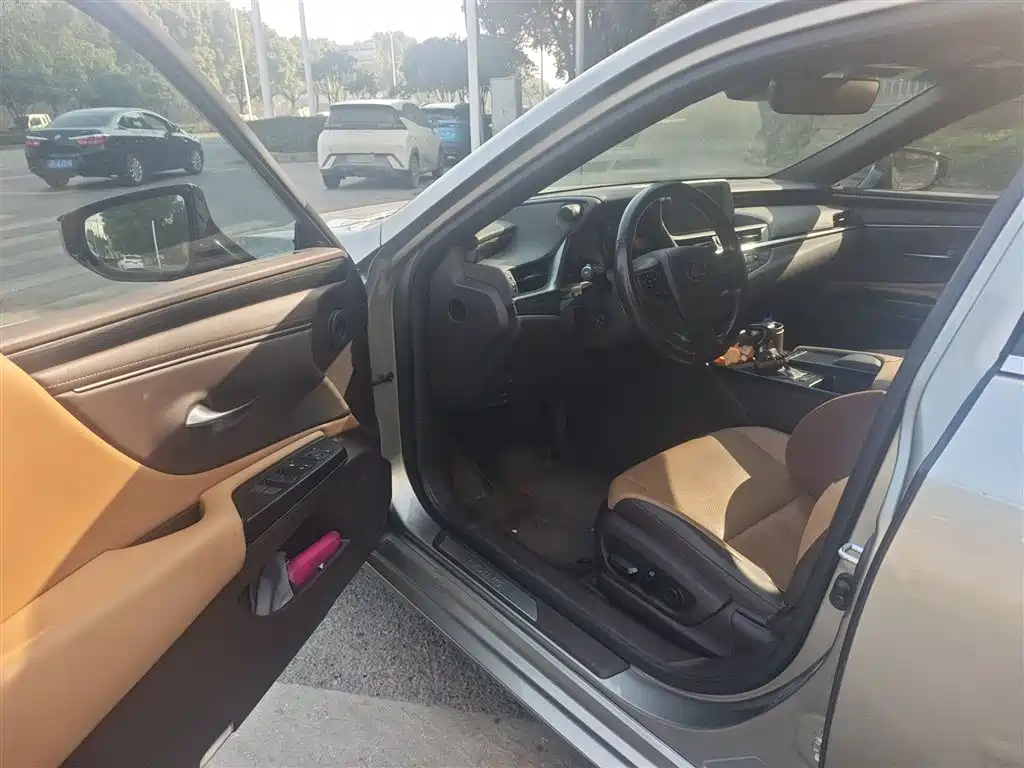Lexus ES 2020 Model 260 Excellence Edition фото 14