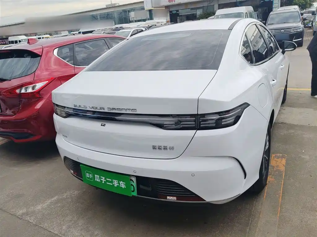 BYD Destroyer 05 2024 Glory Edition DM-i 55KM Luxury фото 6