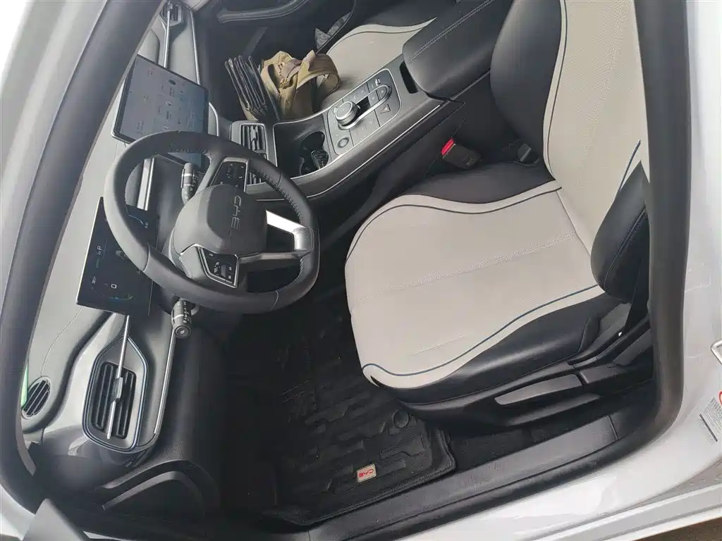 BYD Destroyer 05 2024 Glory Edition DM-i 55KM Luxury фото 15