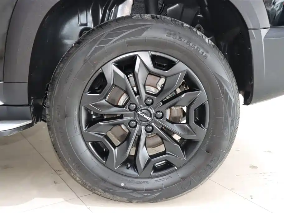 HAVAL BIG DOG