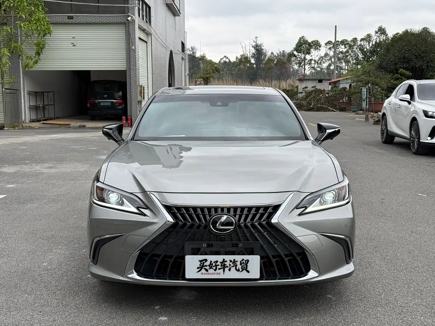 Lexus ES 2021 260 Excellence Edition фото 2