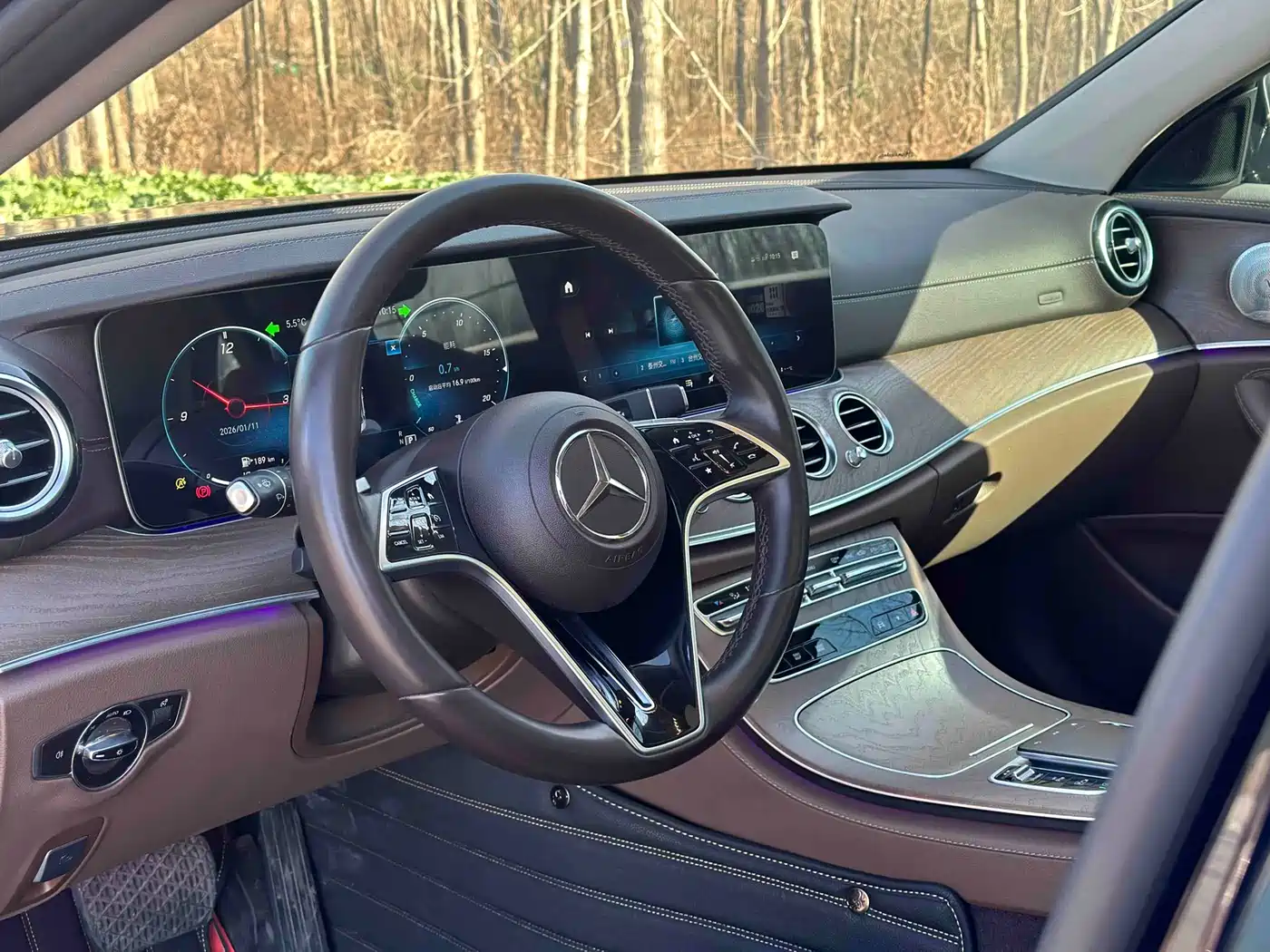 Mercedes-Benz E-Class 2022 E 300 L Luxury фото 15