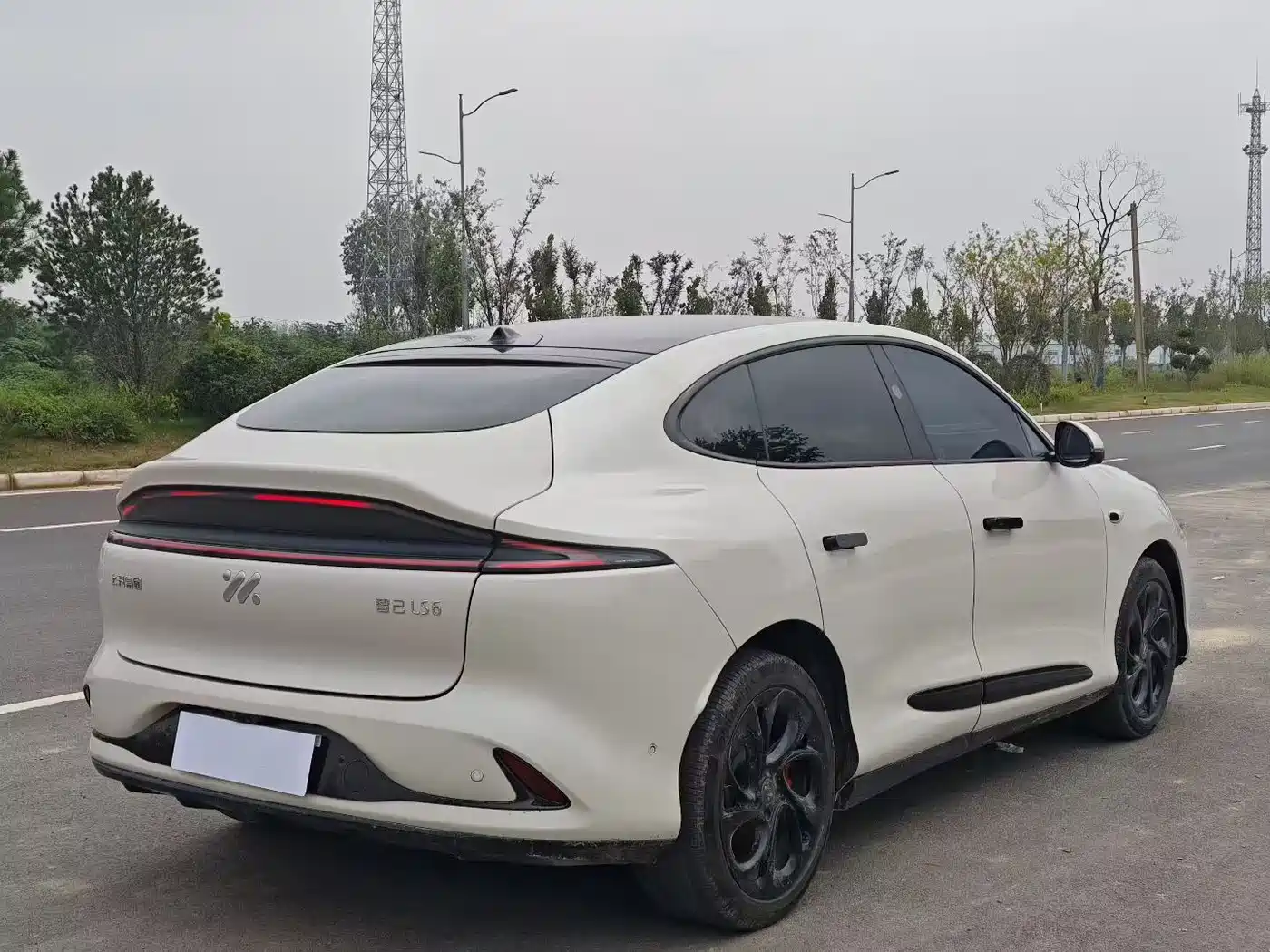 ZHIJI AUTOMOBILE ZHIJI LS6