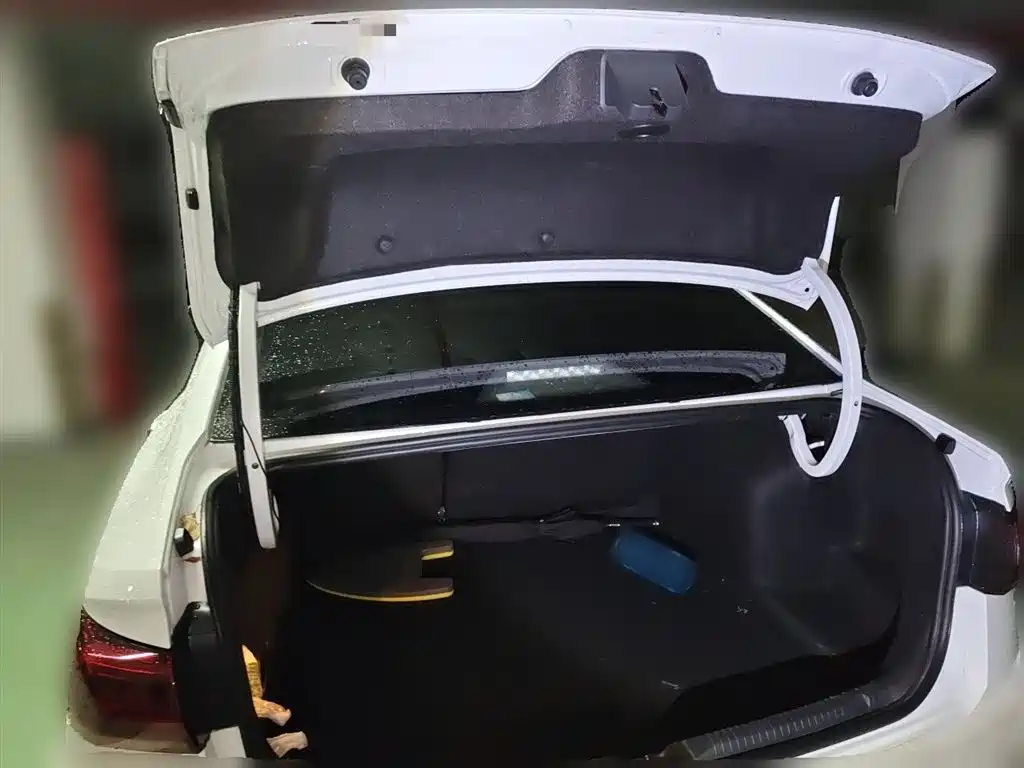 Volkswagen Bora Pure Electric 2020 Model Shang фото 10