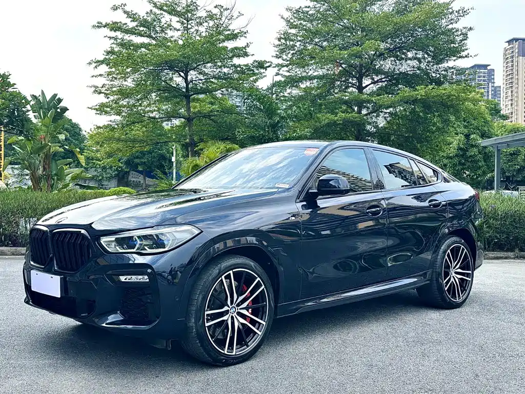 Photo 1 - BMW X6