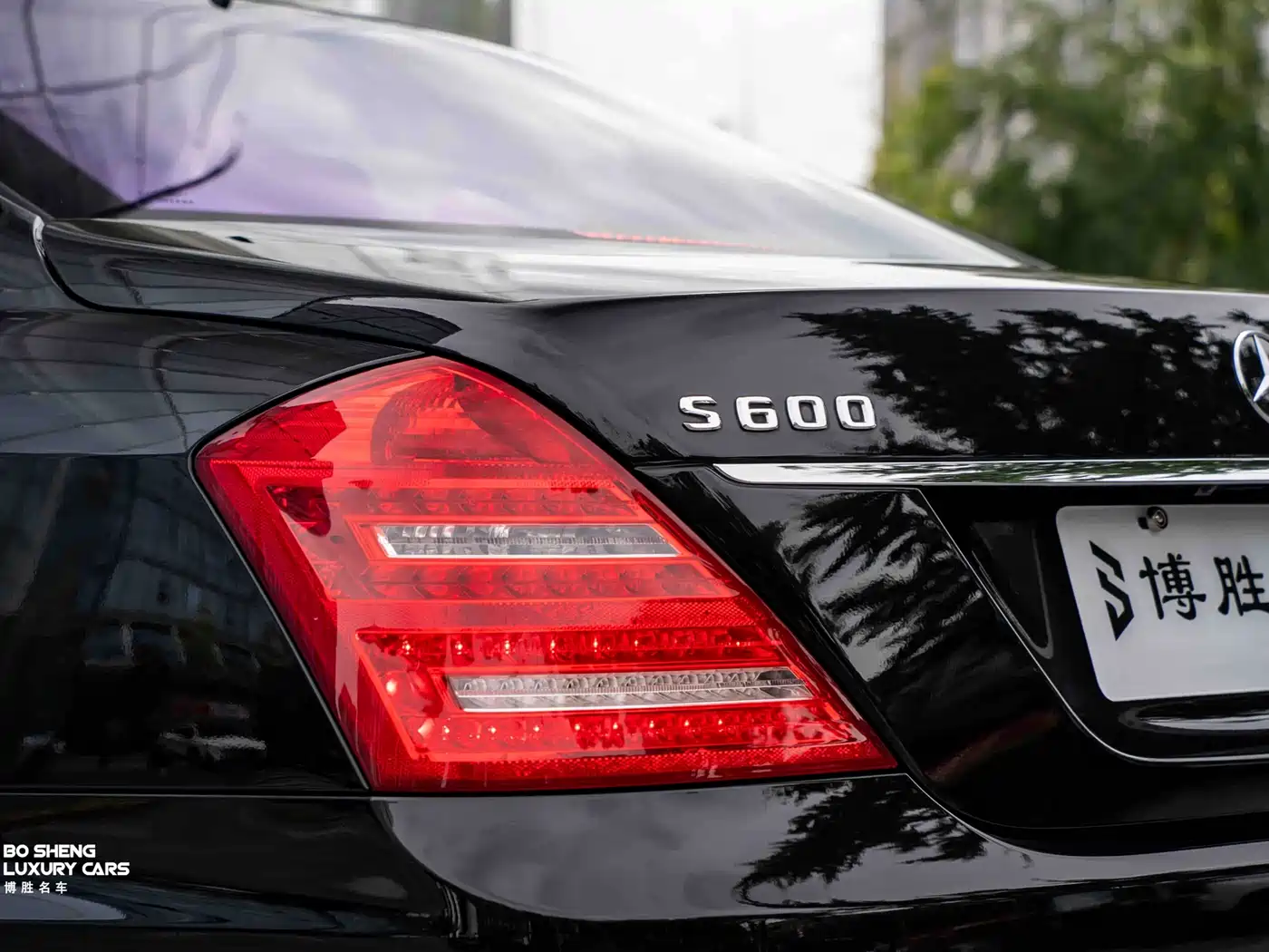 Mercedes-Benz S-Class 2010 S 600 L фото 55