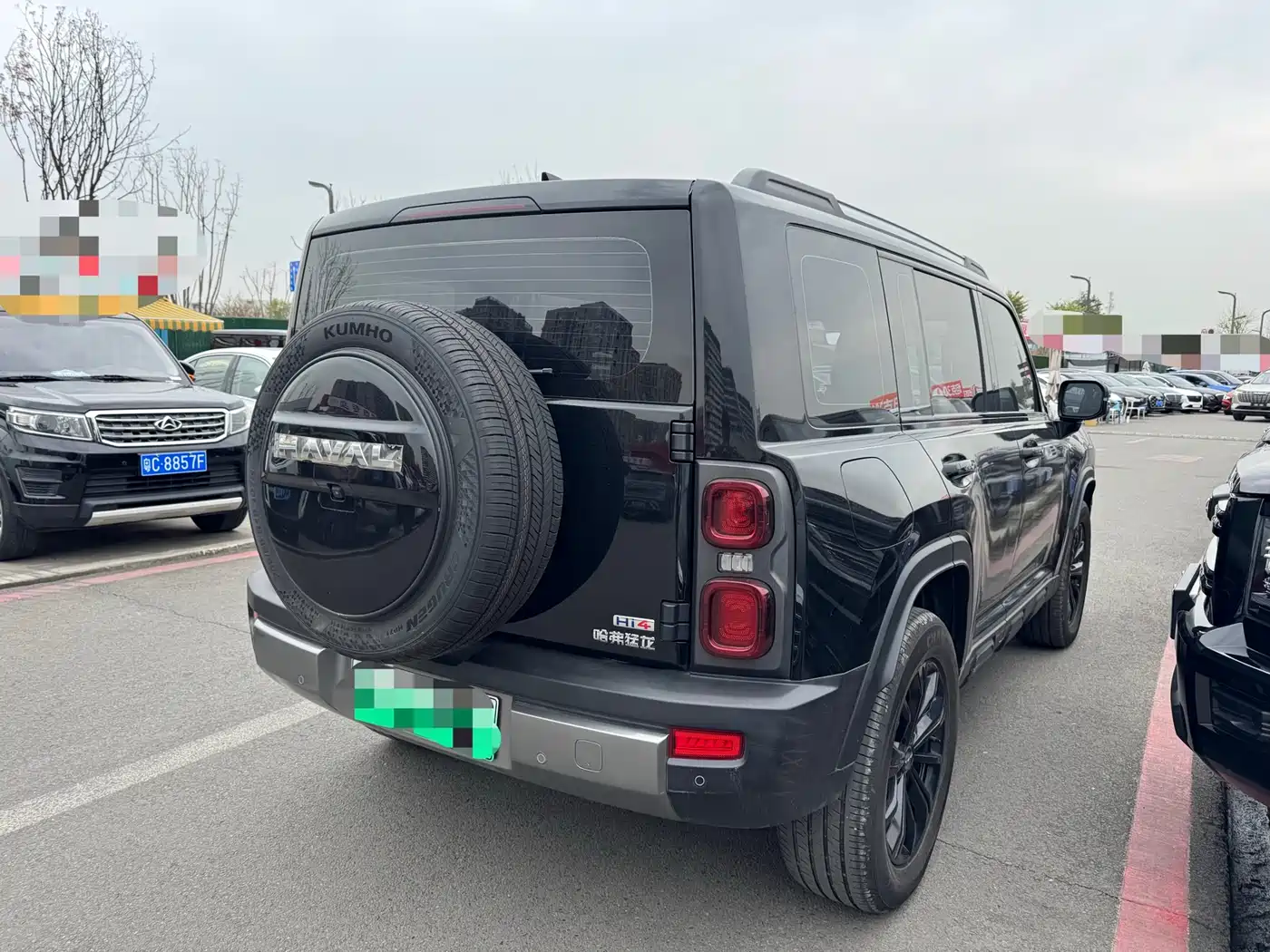 HAVAL RAPTORS NEW ENERGY