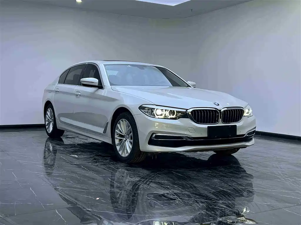 BMW 5 Series 2019 525Li Luxury Package фото 3