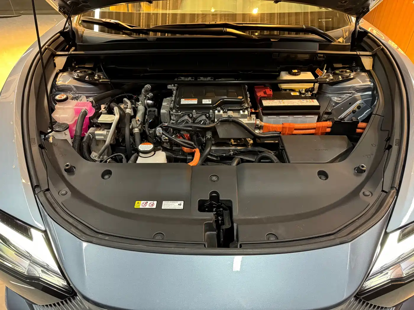 Lexus RZ 2023 450e 4WD Deluxe фото 12