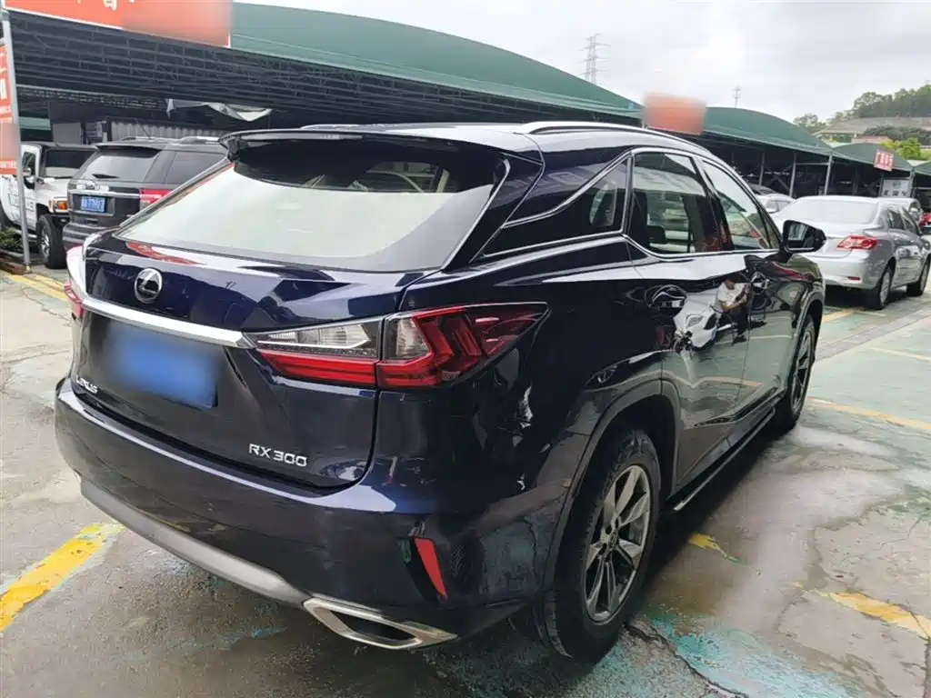 Lexus RX 2016 300 2WD Elite Edition (China V) фото 6