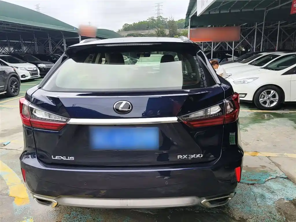 Lexus RX 2016 300 2WD Elite Edition (China V) фото 5