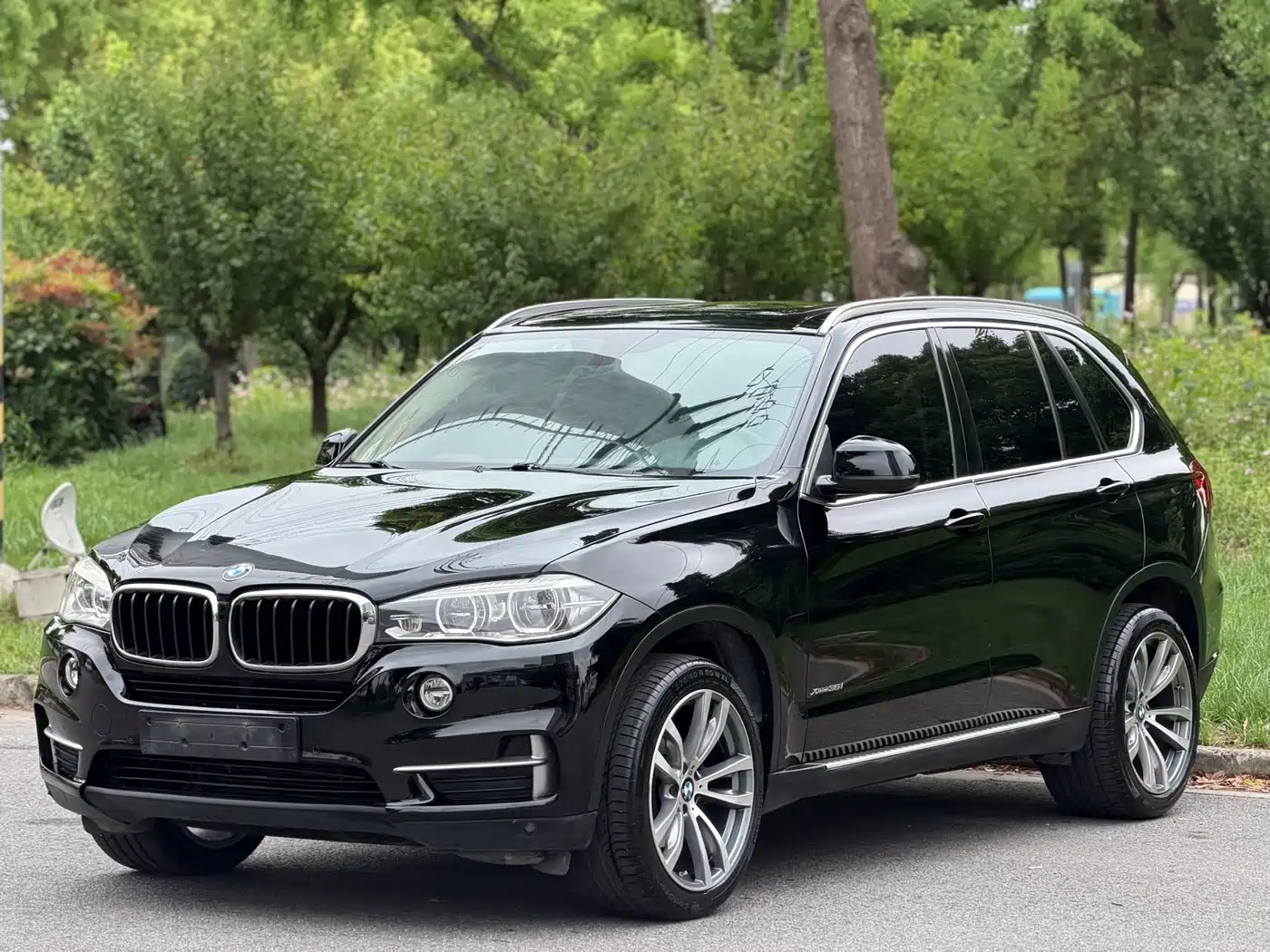 BMW X5 (Import) 2017 xDrive35i Elegance