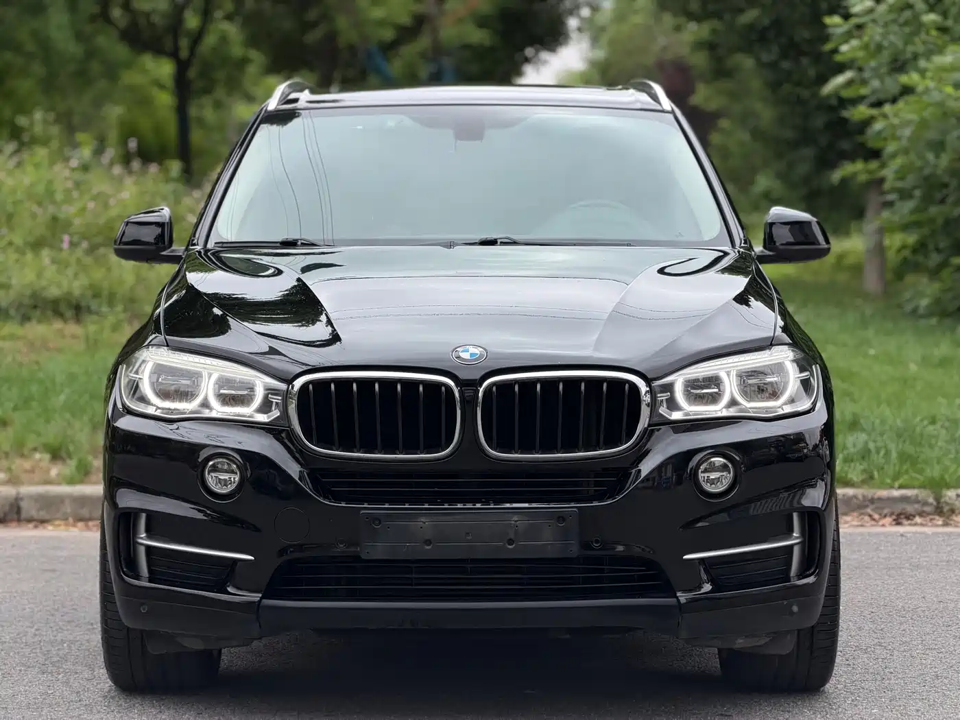 BMW X5 (Import) 2017 xDrive35i Elegance фото 2