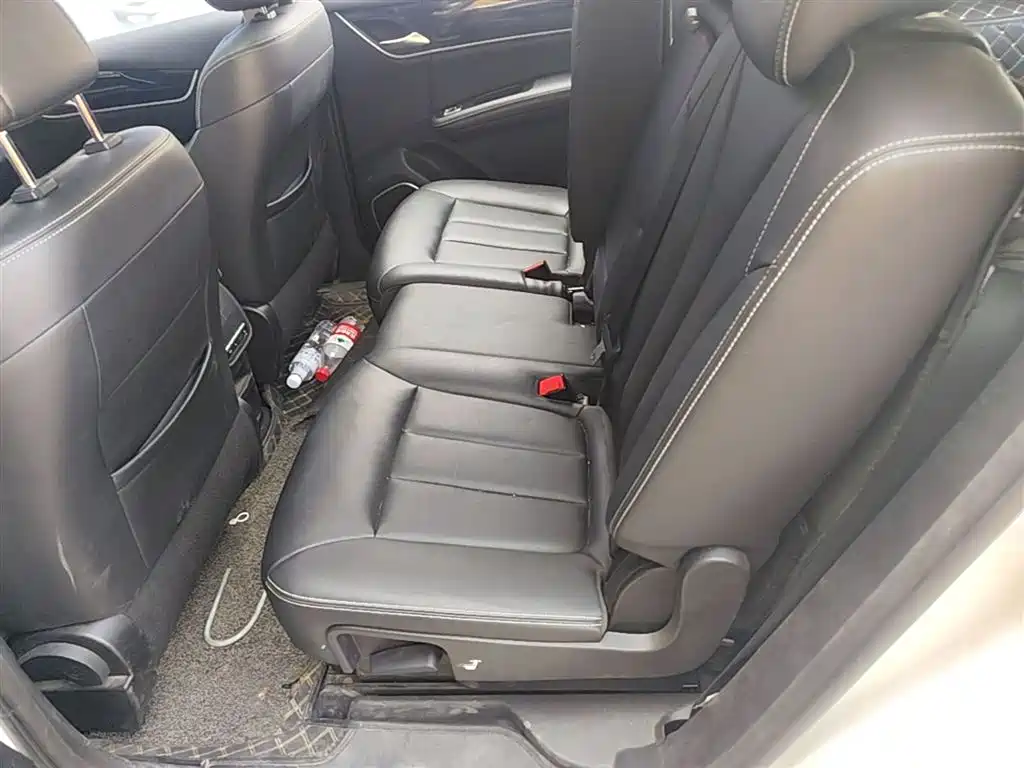 BYD Song MAX 2019 1.5T Auto Smart Connected Sunroof 7-seater China VI фото 17