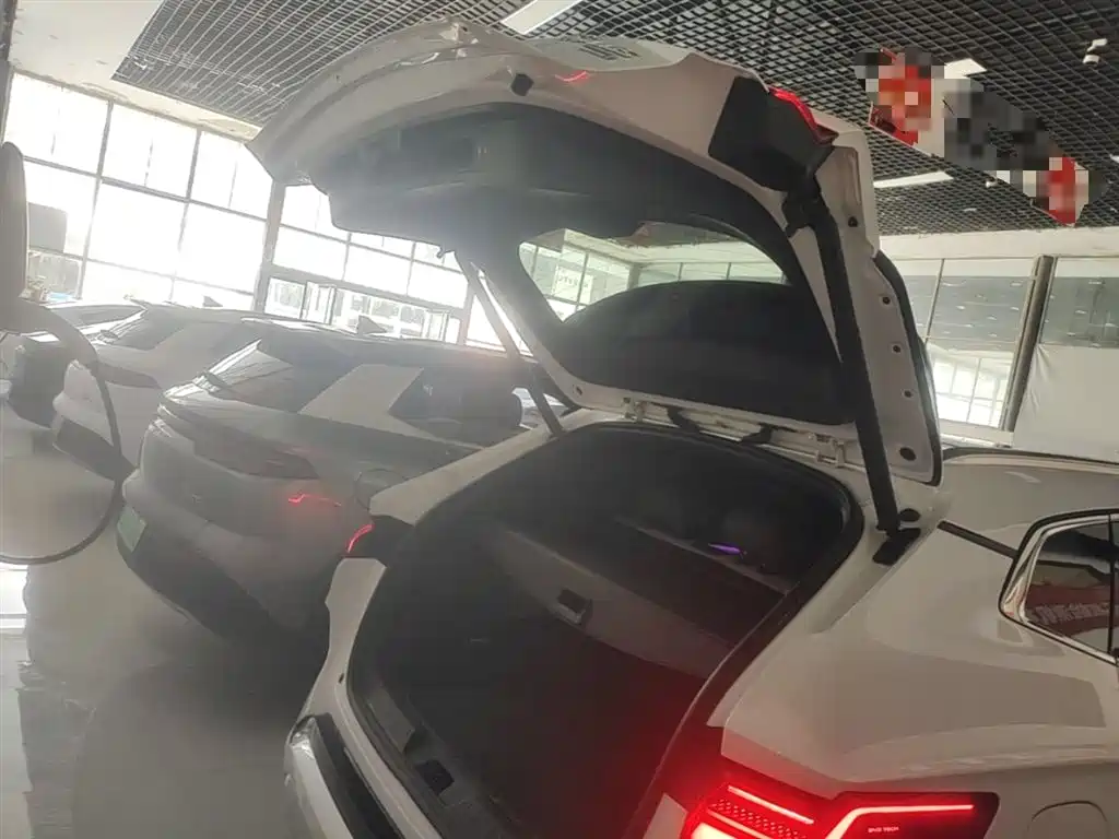BYD Song PLUS PHEV 2025 DM-i Smart Drive Edition 160KM Flagship фото 19