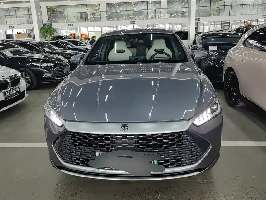 BYD Qin PLUS 2024 Glory Edition DM-i 55KM Leading фото 2