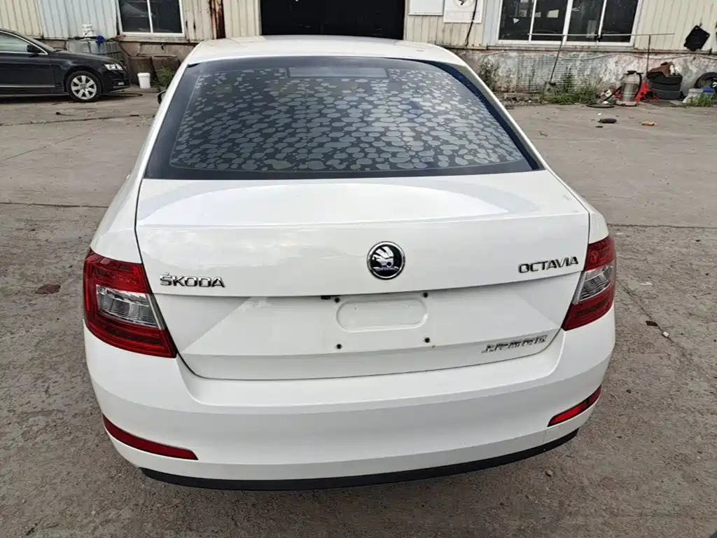 Фото 6 - Škoda Octavia