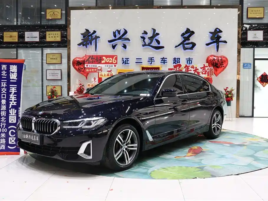 BMW 5 Series 2021 530Li Leading Luxury Package