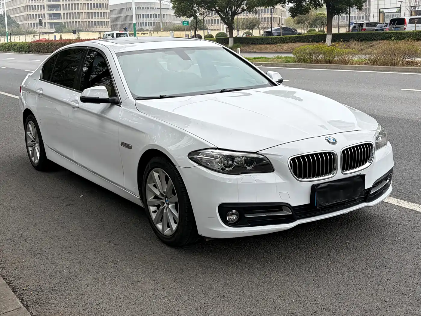 BMW 5 Series 2014 530Li Leading фото 7