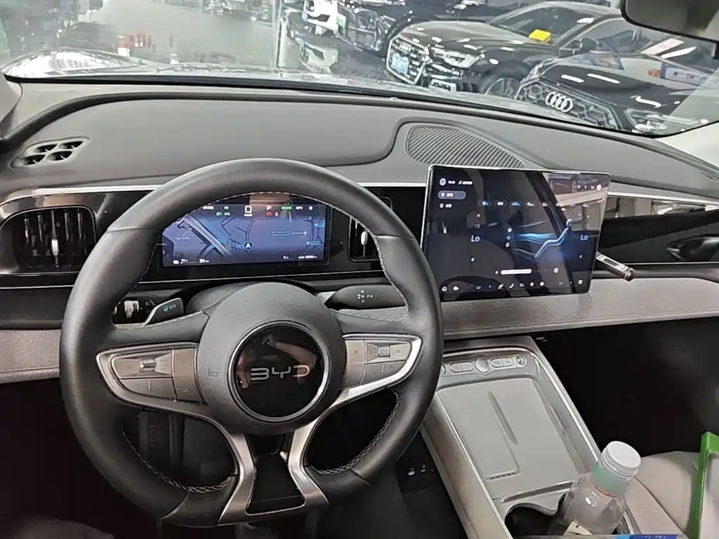 BYD Hai Shi 05 EV 2025 520KM Smart Navigation Edition фото 10