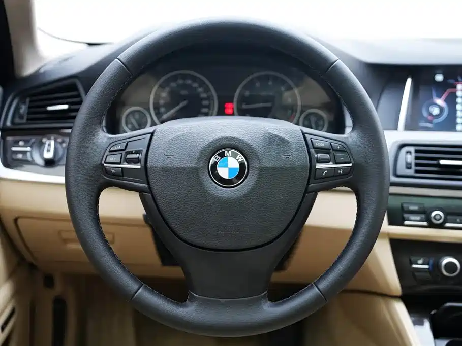 BMW 5 Series 2014 525Li Leading фото 10